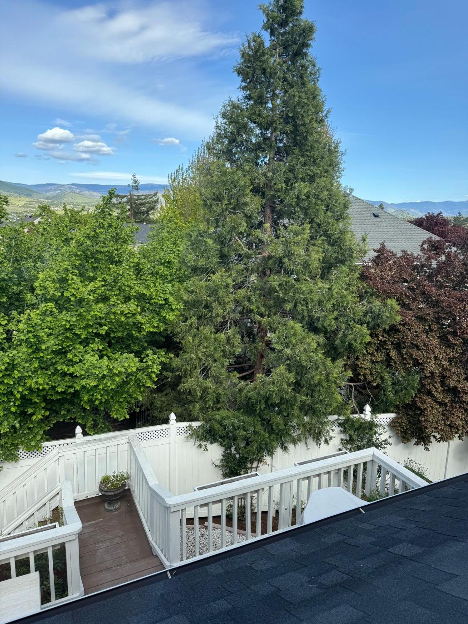 Bayberry Inn B&B And Oregon Wellness Retreat Ashland Eksteriør bilde